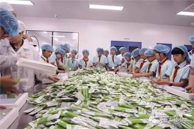 均衡營養 健康中國——記五(3)班家委會親子食品科普活動